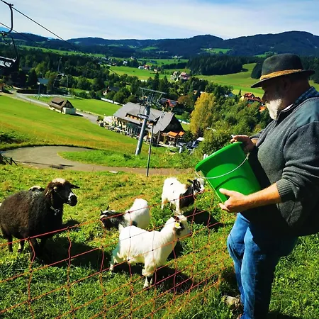 In Gaal Im Murtal In A Beautiful Setting Vakantiehuis *