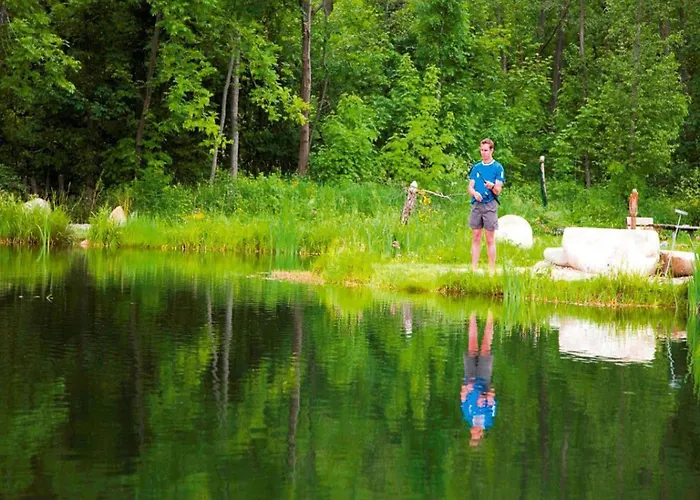 Tatil Evi In Gaal Im Murtal In A Beautiful Setting *